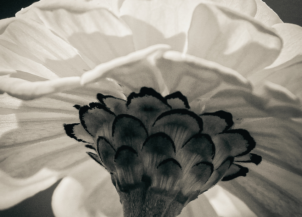 between optimism and cynicism: a third way